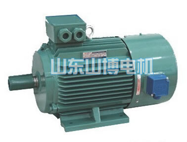 YVF系列變頻調(diào)速電動(dòng)機(jī)